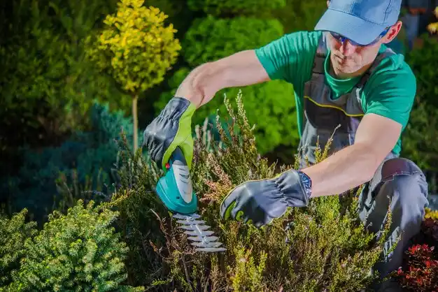 landscaping services Petersburg